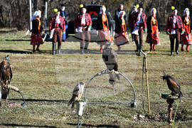 Разград - "Соколарска надпревара"