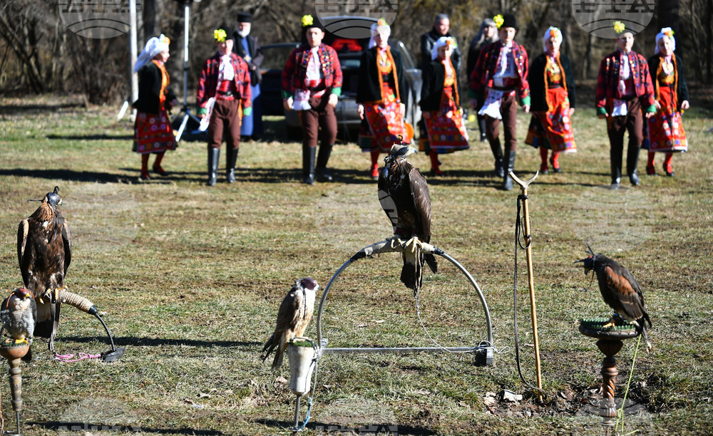 Разград - "Соколарска надпревара"
