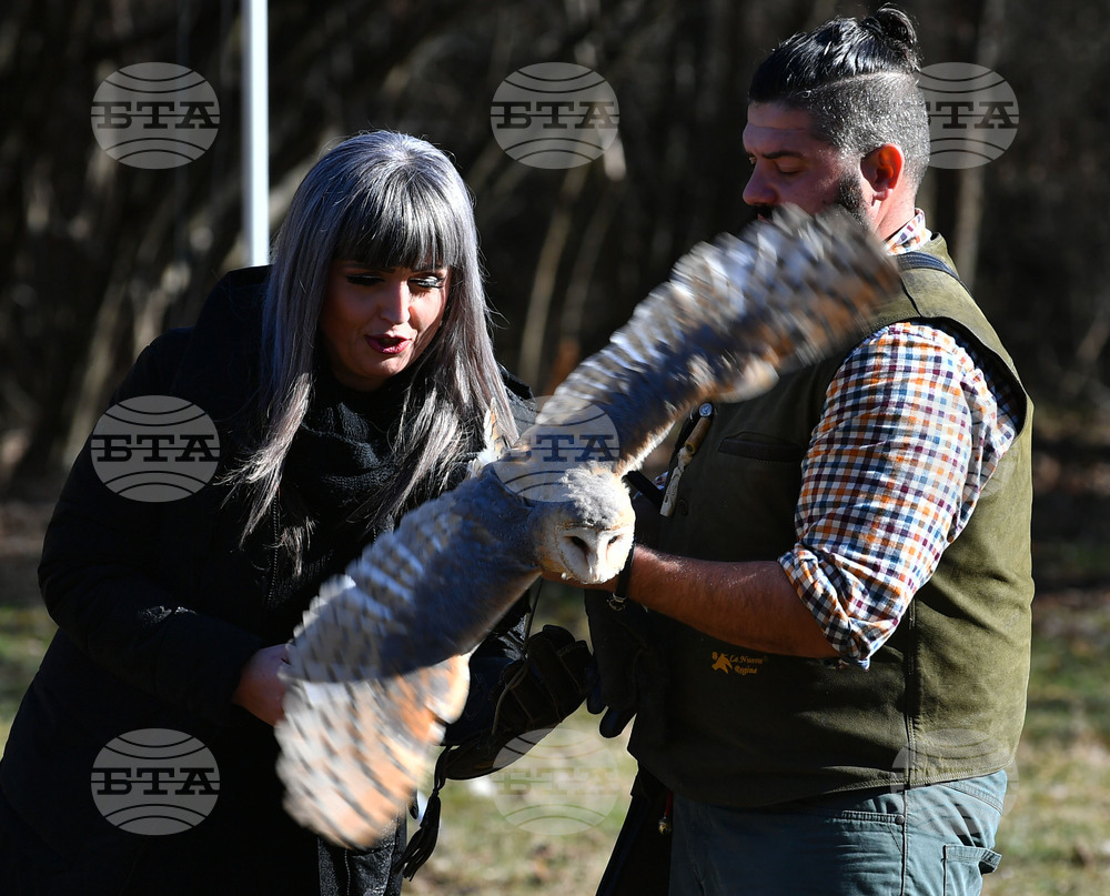 Разград - "Соколарска надпревара"