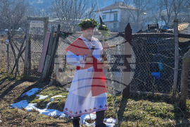 Село Коларово - зарязване на лозя