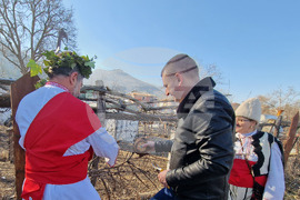 Село Коларово - зарязване на лозя