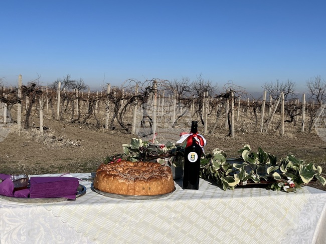 Община Куклен обяви конкурс за "Най-добро домашно вино - реколта 2024" 