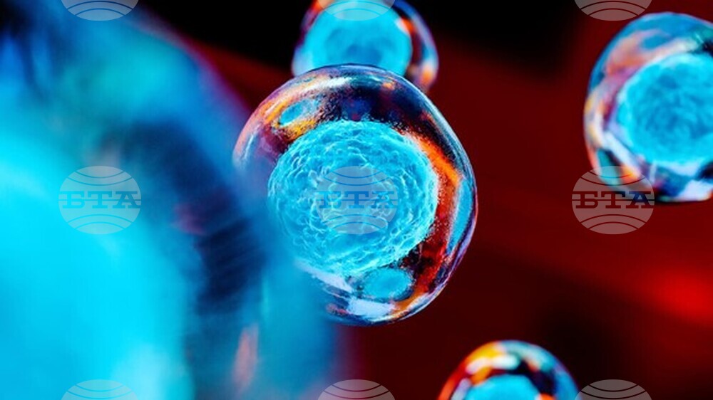 Европейското патентно ведомство стартира безплатни онлайн инструменти за лесен достъп до бизнес и техническа информация за иновации, свързани с рака