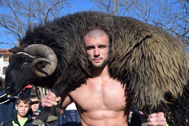 Община Асеновград: 24-годишен пловдивчанин спечели коча на борбите край Асеновград