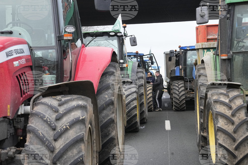 Протести на фермери срещу евтаназията на цели стада добитък продължават да блокират пътища в Югозападна Франция