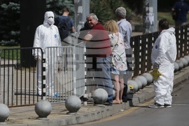 Пътнотранспортно произшествие - оглед