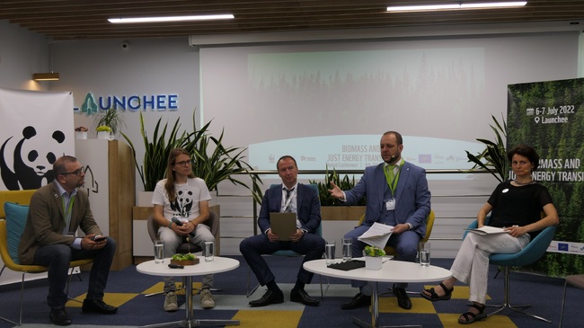 Заместник-министър Чамбов: Дървесната биомаса е един от най-важните източници на топлинна енергия в България 