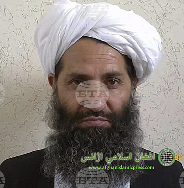 Лидерът на талибаните забрани уайфай връзката в афганистанска провинция, за да "предотврати неморалното поведение"