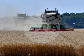 Разград - жътвена кампания