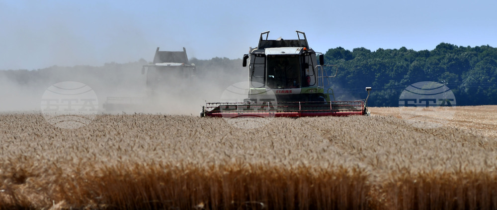 Разград - жътвена кампания