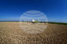 Разград - жътвена кампания