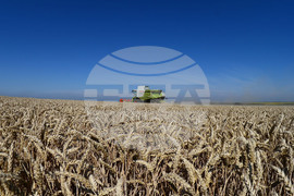 Разград - жътвена кампания