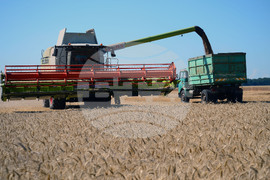 Разград - жътвена кампания