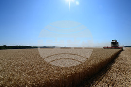 Разград - жътвена кампания