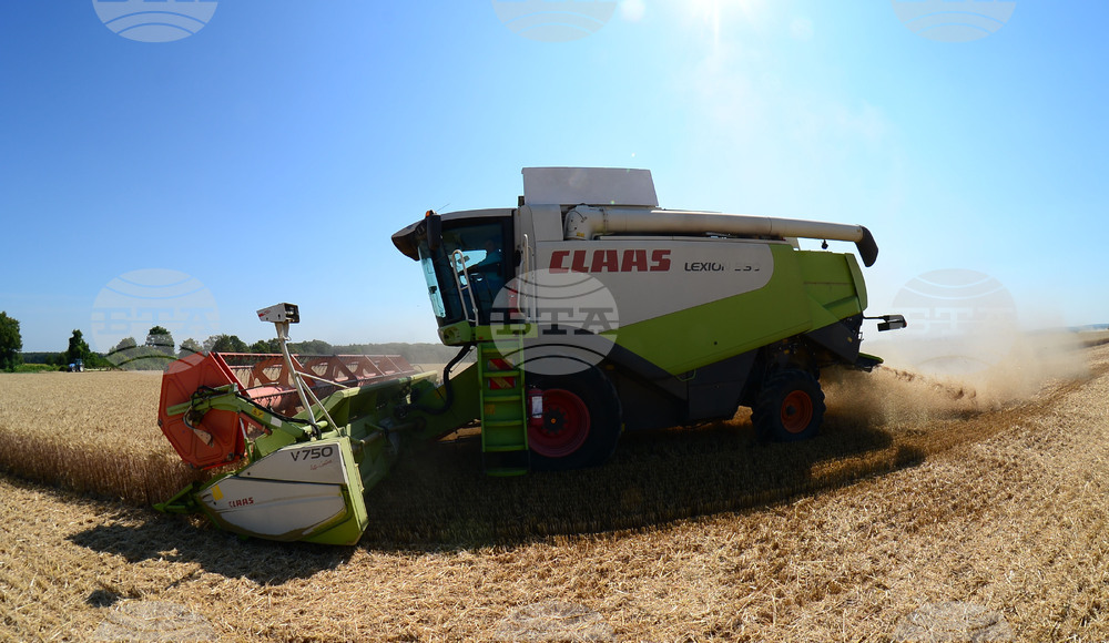 Разград - жътвена кампания