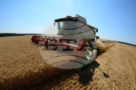 Разград - жътвена кампания