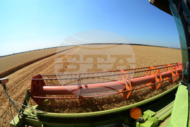 Разград - жътвена кампания