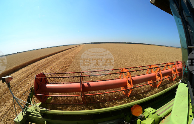 Разград - жътвена кампания