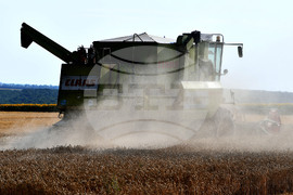 Разград - жътвена кампания