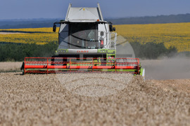 Разград - жътвена кампания