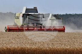 Разград - жътвена кампания