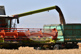 Разград - жътвена кампания