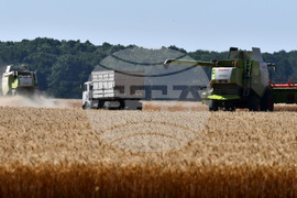 Разград - жътвена кампания