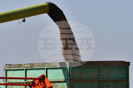 Разград - жътвена кампания