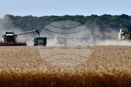 Разград - жътвена кампания