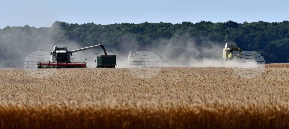 Разград - жътвена кампания