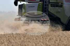 Разград - жътвена кампания