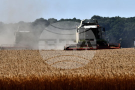 Разград - жътвена кампания