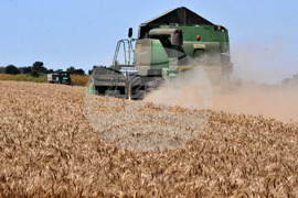 Бургас - жътвена кампания