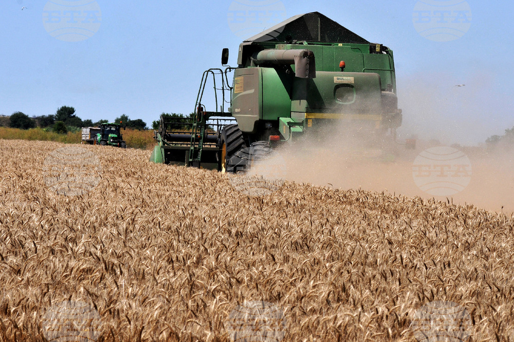 Бургас - жътвена кампания