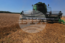 Бургас - жътвена кампания