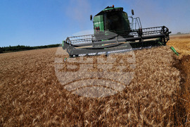 Бургас - жътвена кампания