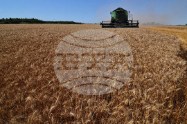 Бургас - жътвена кампания