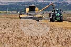 Бургас - жътвена кампания