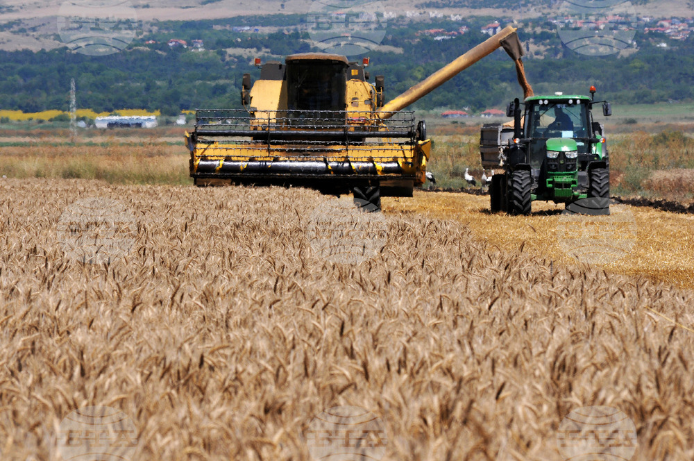 Бургас - жътвена кампания