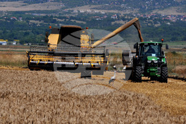 Бургас - жътвена кампания