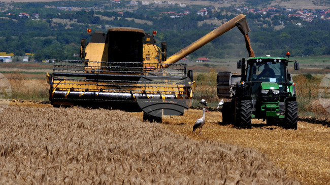 European Public Prosecutor’s Office Conducts Searches, Seizures in Bulgaria within Agricultural Subsidy Fraud Investigation