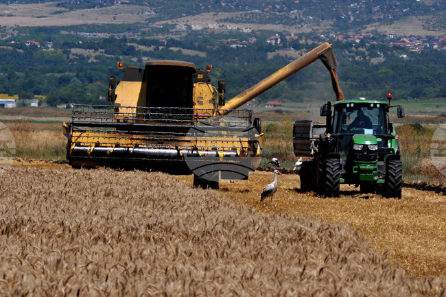 European Public Prosecutor’s Office Conducts Searches, Seizures in Bulgaria within Agricultural Subsidy Fraud Investigation