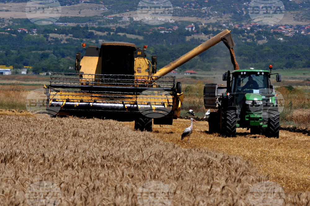Бургас - жътвена кампания