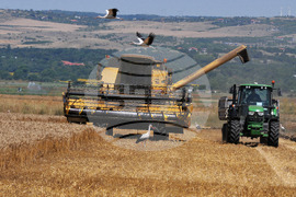 Бургас - жътвена кампания