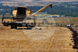 Бургас - жътвена кампания