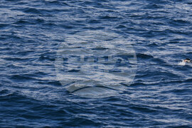 Национална антарктическа експедиция - Военен научноизследователски кораб „Св. Св. Кирил и Методий“ - НИК 421