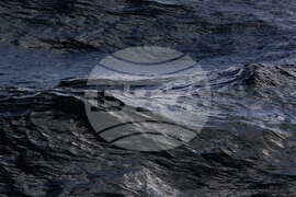 Национална антарктическа експедиция - Военен научноизследователски кораб „Св. Св. Кирил и Методий“ - НИК 421