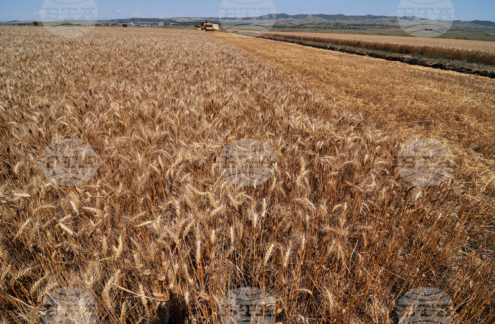 Бургас - жътвена кампания
