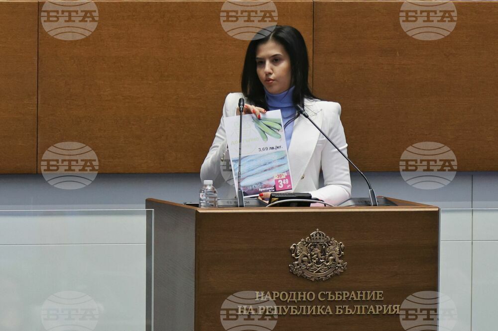 Парламент - заседание