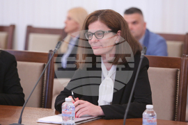 Парламент - комисия по външна политика